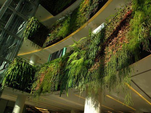 Фасады из растений в Париже