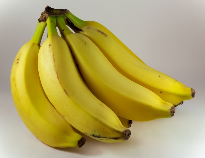 Как вырастить банан в домашних условиях из банана – подробное описание