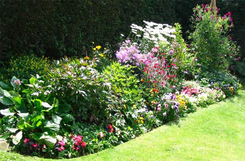 Правильное сочетание цветов в Вашем саду 