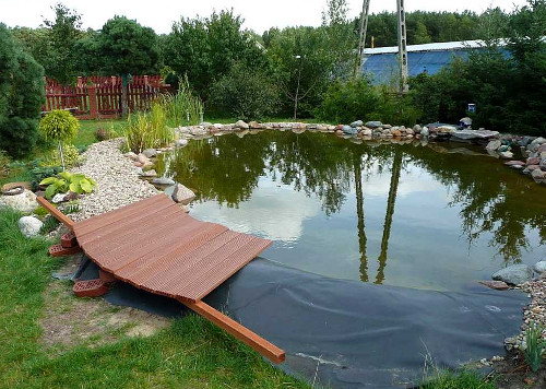 5 шагов к самостоятельному созданию живописного пруда в саду 