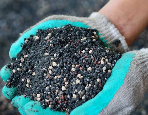 Как подготовить грунт для посадки баклажанов?