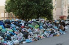 Вывоз мусора в компании Спец Вывоз