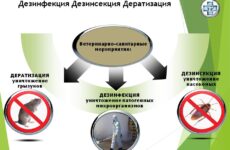 Цены дератизации, дезинфекции, дезинсекции в Москве