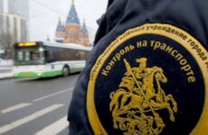 Административные штрафы и городская экология: как проверить и оплатить